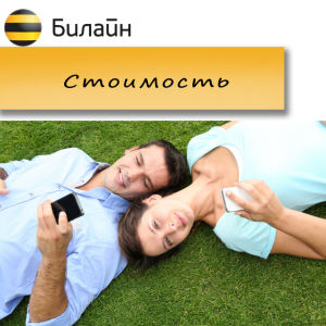 Переадресация от Билайн: как подключить и отключить услугу Переадресация от Билайн: как подключить и отключить услугу